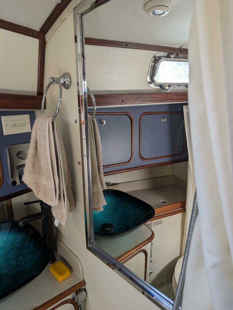 Slide: The Image of V27 - 5166969