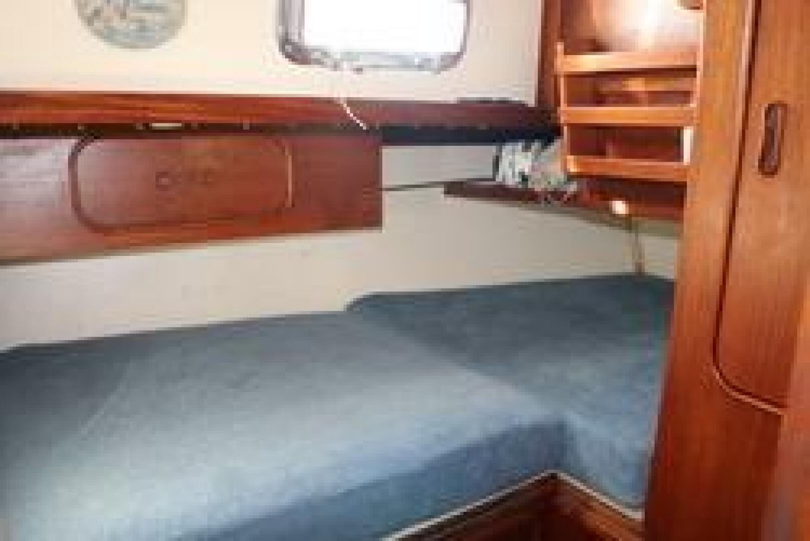 Slide: The Image of V41 - 5166986