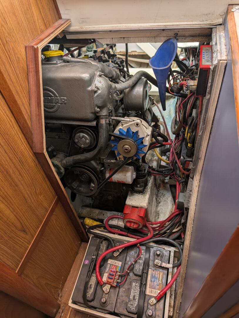 Slide: The Image of V49 - 5166994