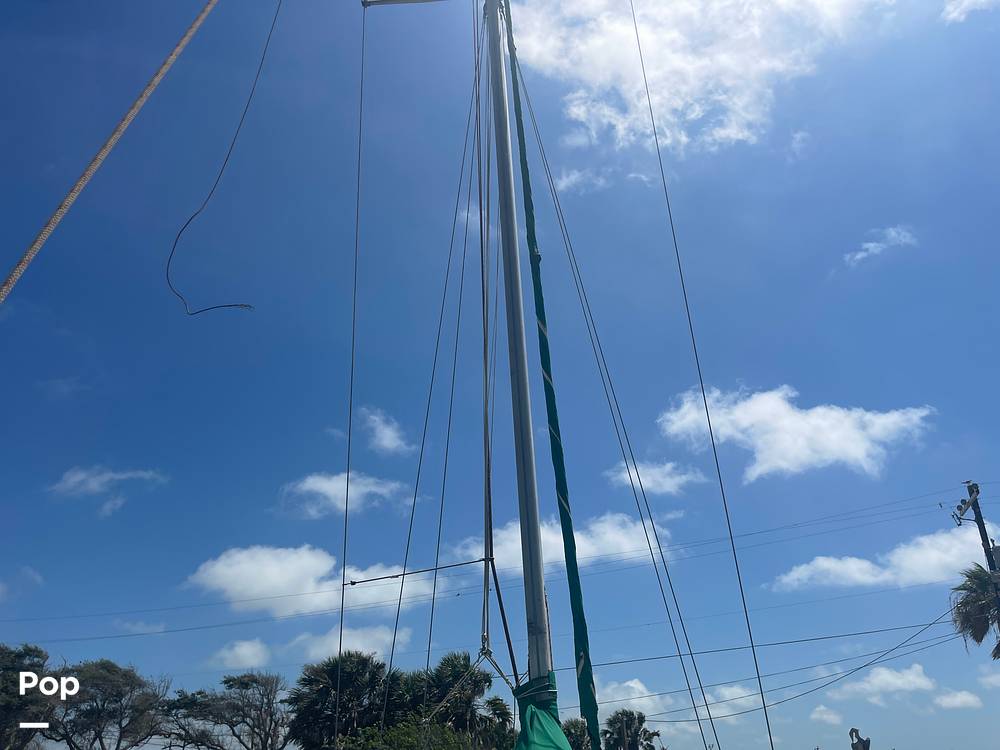 Slide: The Image of Mast - 12917114