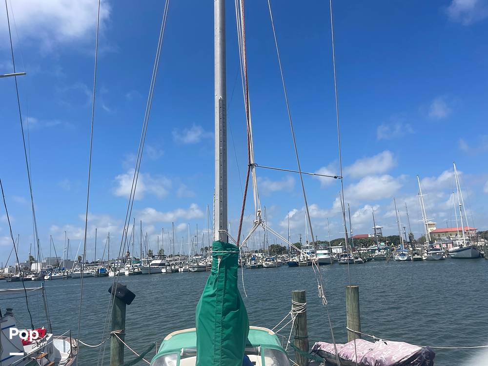 Slide: The Image of Mast - 12917412