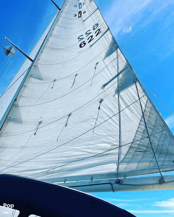 Slide: The Image of Islander 36/SL 1982 - 15288009