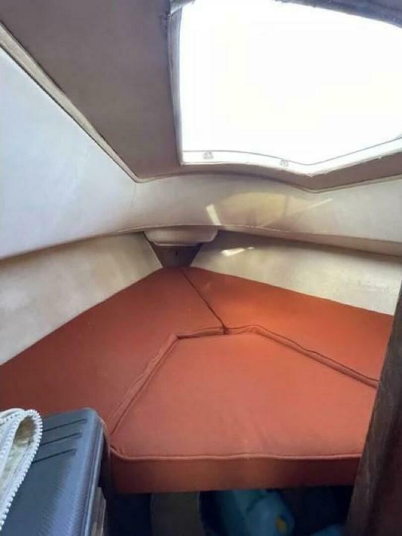 Slide: The Image of Islander Islander 28 1991 - 4694671