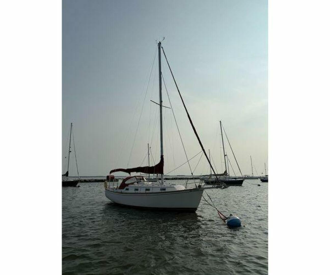 Slide: The Image of Island Packet 31 1987 - 5673772