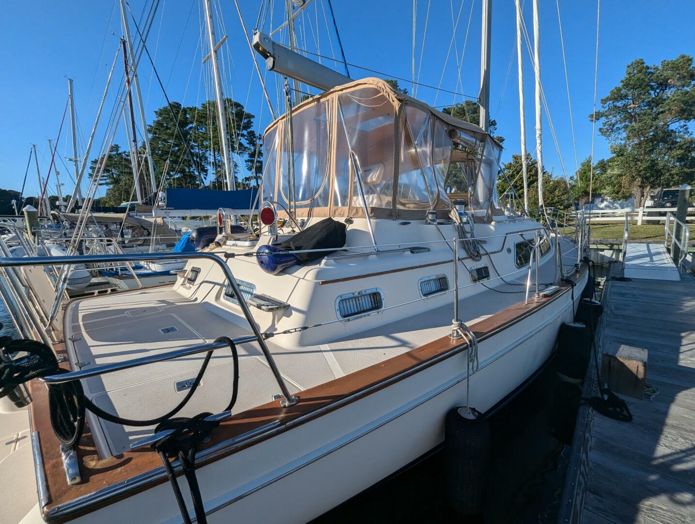 Slide: The Image of Island Packet 445 2007 - 4745968