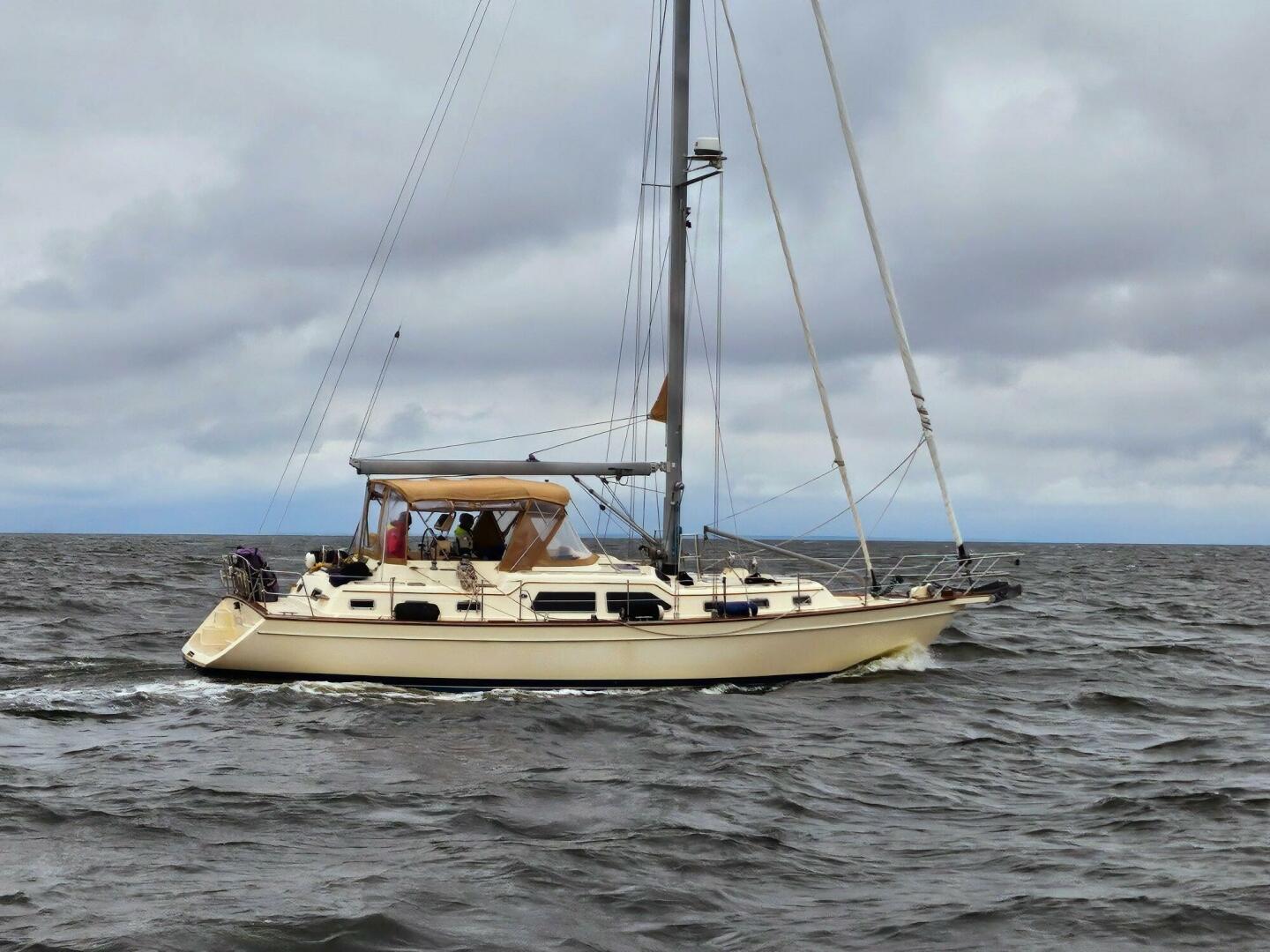 Slide: The Image of Island Packet 445 2007 - 4746005