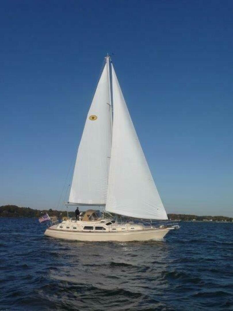 Slide: The Image of Island Packet 445 2007 - 4746006