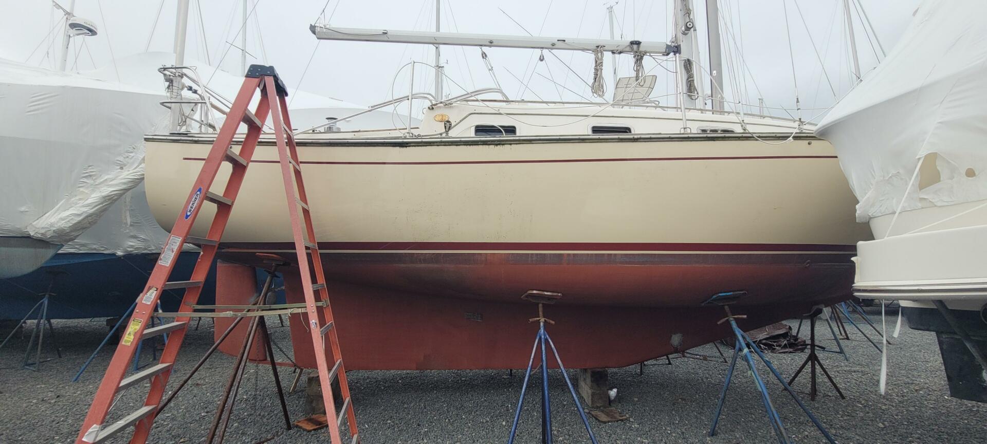 Slide: The Image of Island Packet Masthead Sloop 1987 - 5248874