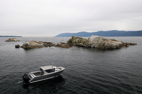 Slide: The Image of 2025 Jasper Marine Defender 22 boat cruising near rocky islands in calm waters. - 38