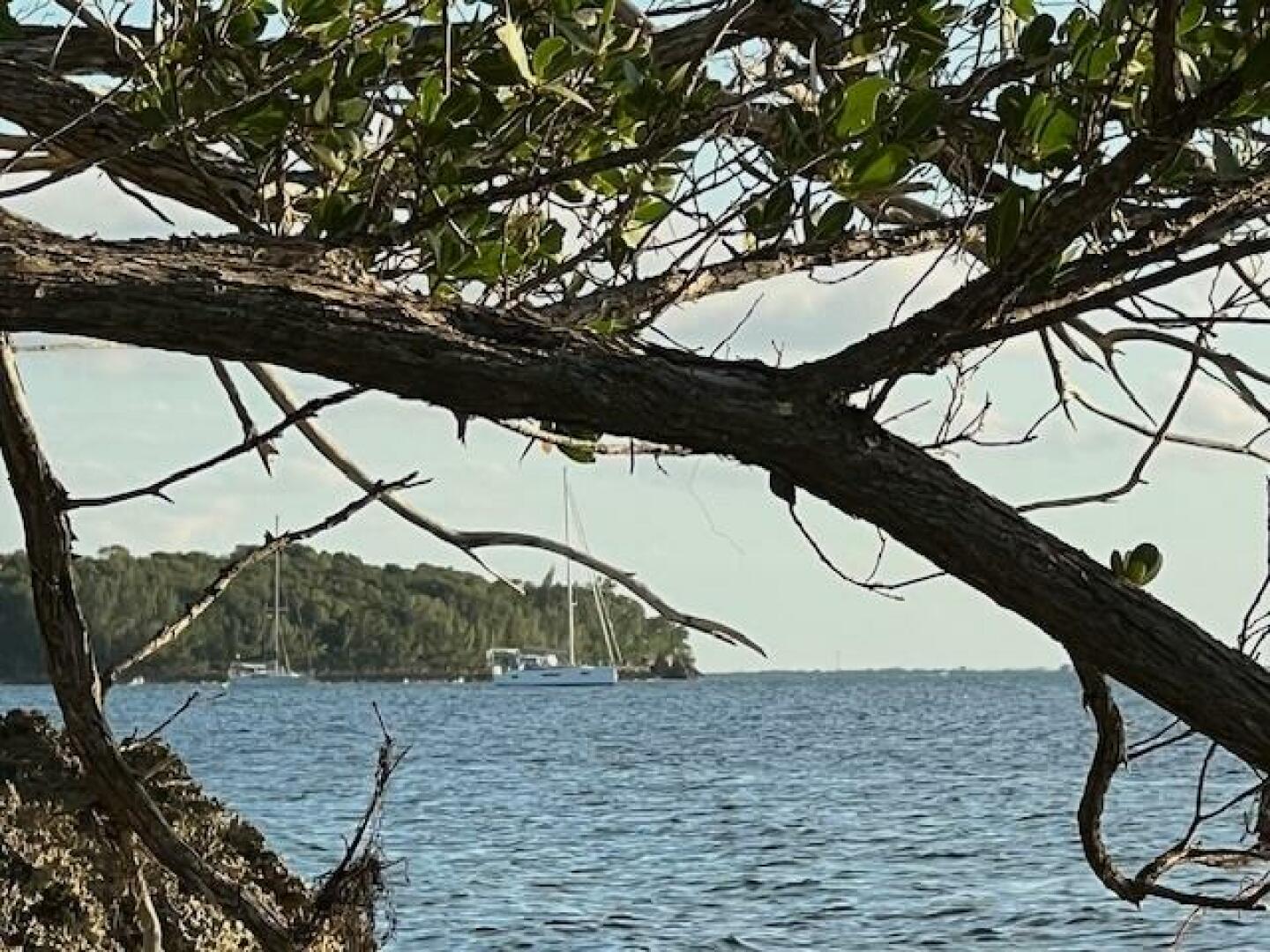 Slide: The Image of Jeanneau Sun Odyssey 410 2020 - 5168887