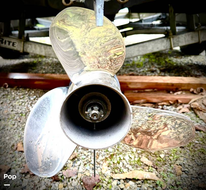 Slide: The Image of Key West 210 Bay Reef 2018 - 15288937