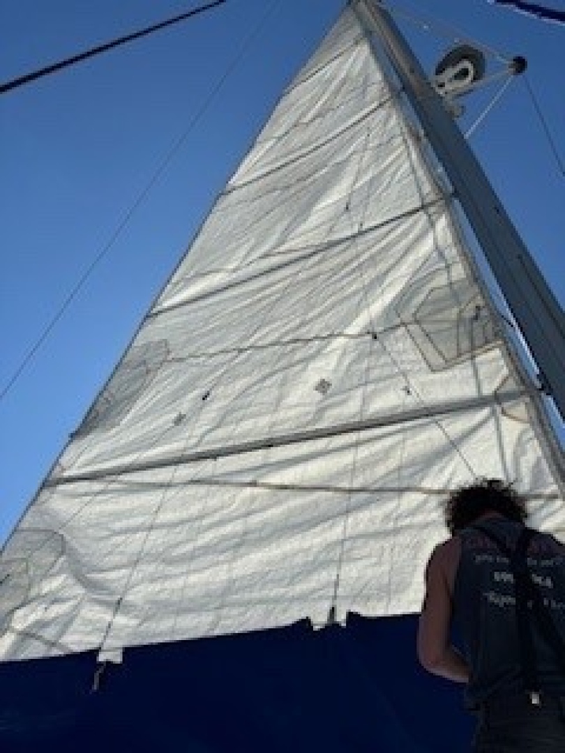 Slide: The Image of Used Sail Catamaran for sale 2003 Lagoon 380 - FISHY BUSINESS - 4893743
