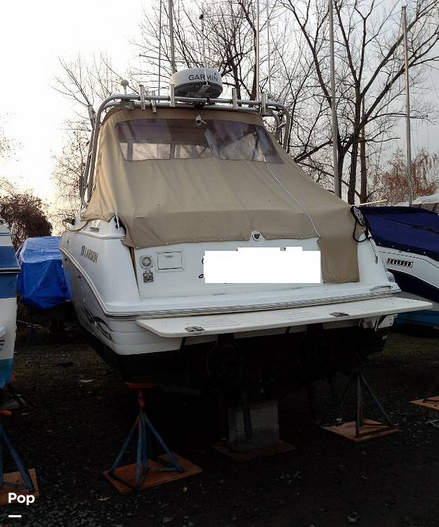 Slide: The Image of Larson 290 Cabrio 2000 - 1930616