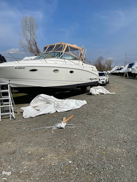 Slide: The Image of Larson 290 Cabrio 2000 - 9204474