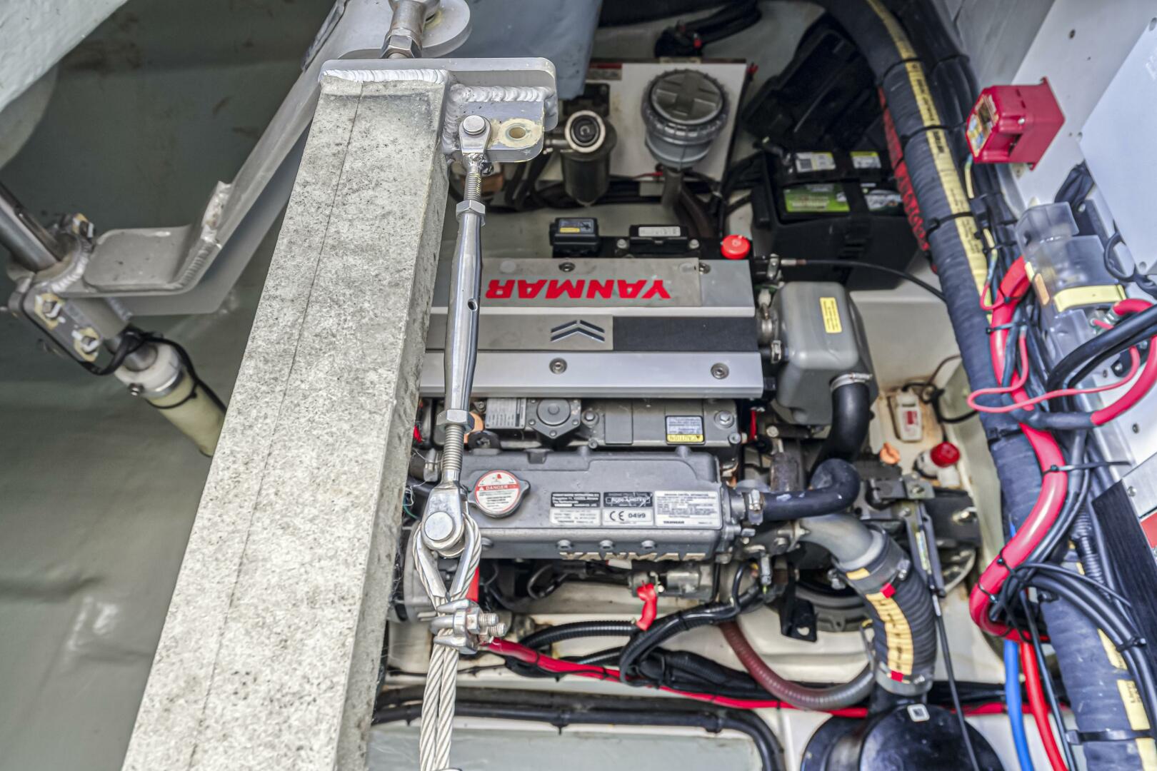 Slide: The Image of Leopard 45 2019 - 5257588