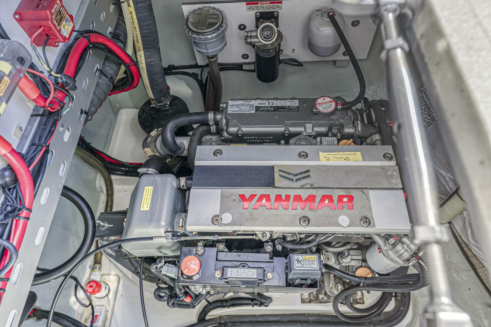 Slide: The Image of Leopard 45 2019 - 5257589