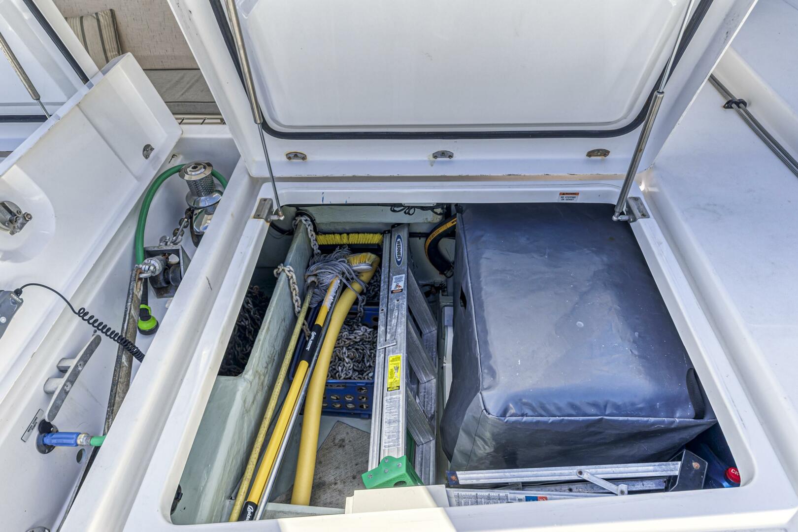 Slide: The Image of Leopard 45 2019 - 5257613