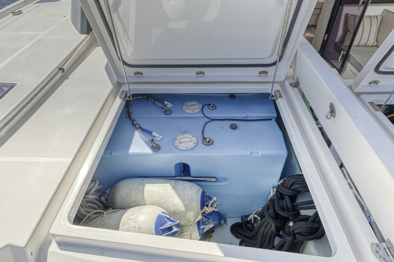 Slide: The Image of Leopard 45 2019 - 5257614