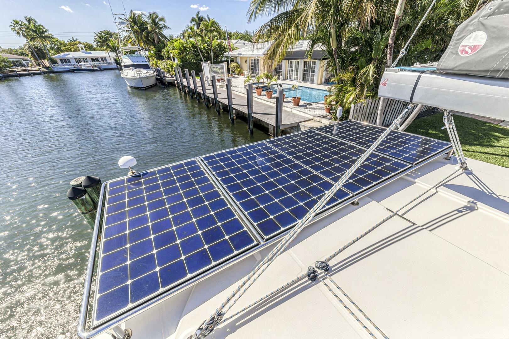 Slide: The Image of Leopard 45 2019 - 5257623