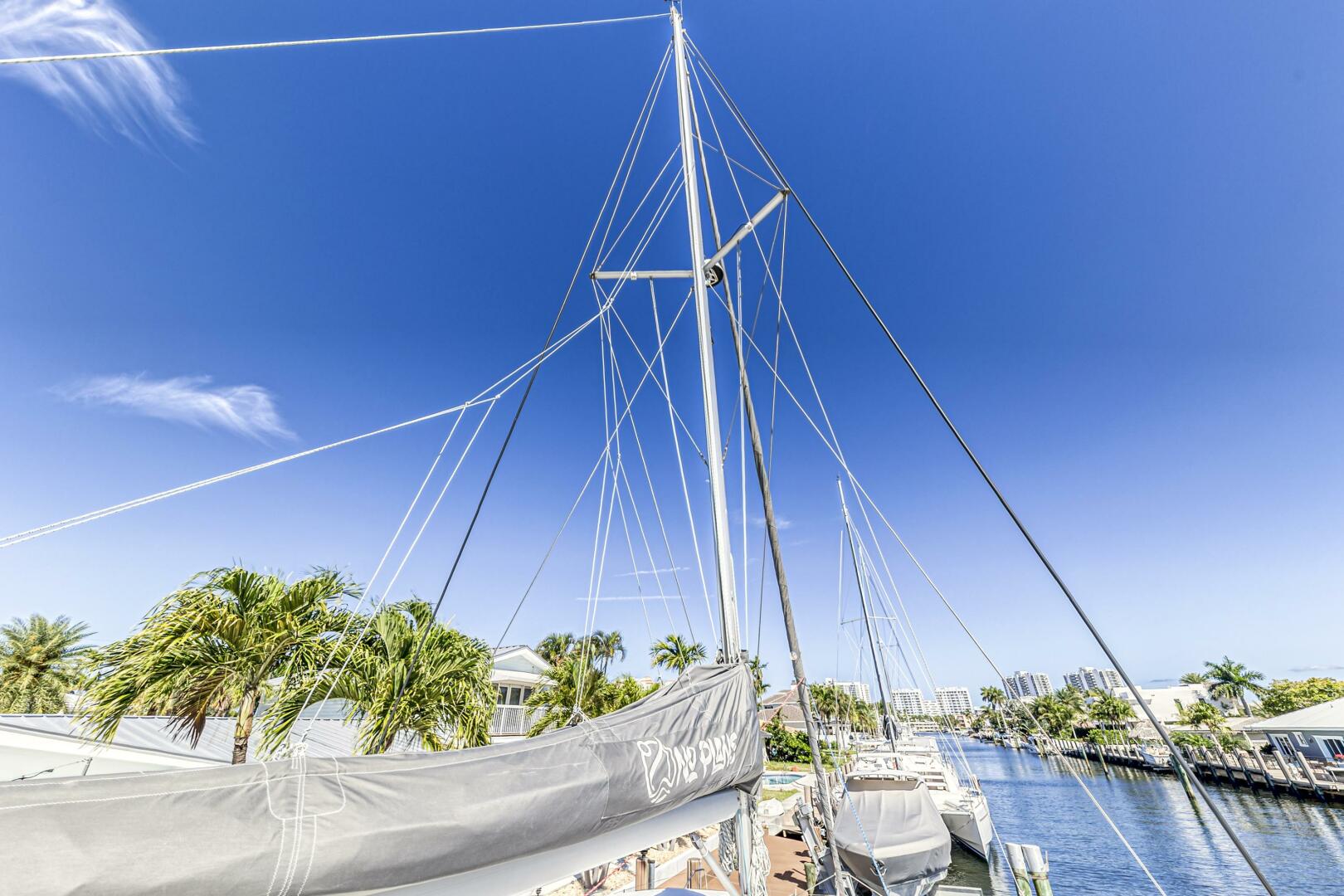 Slide: The Image of Leopard 45 2019 - 5257624