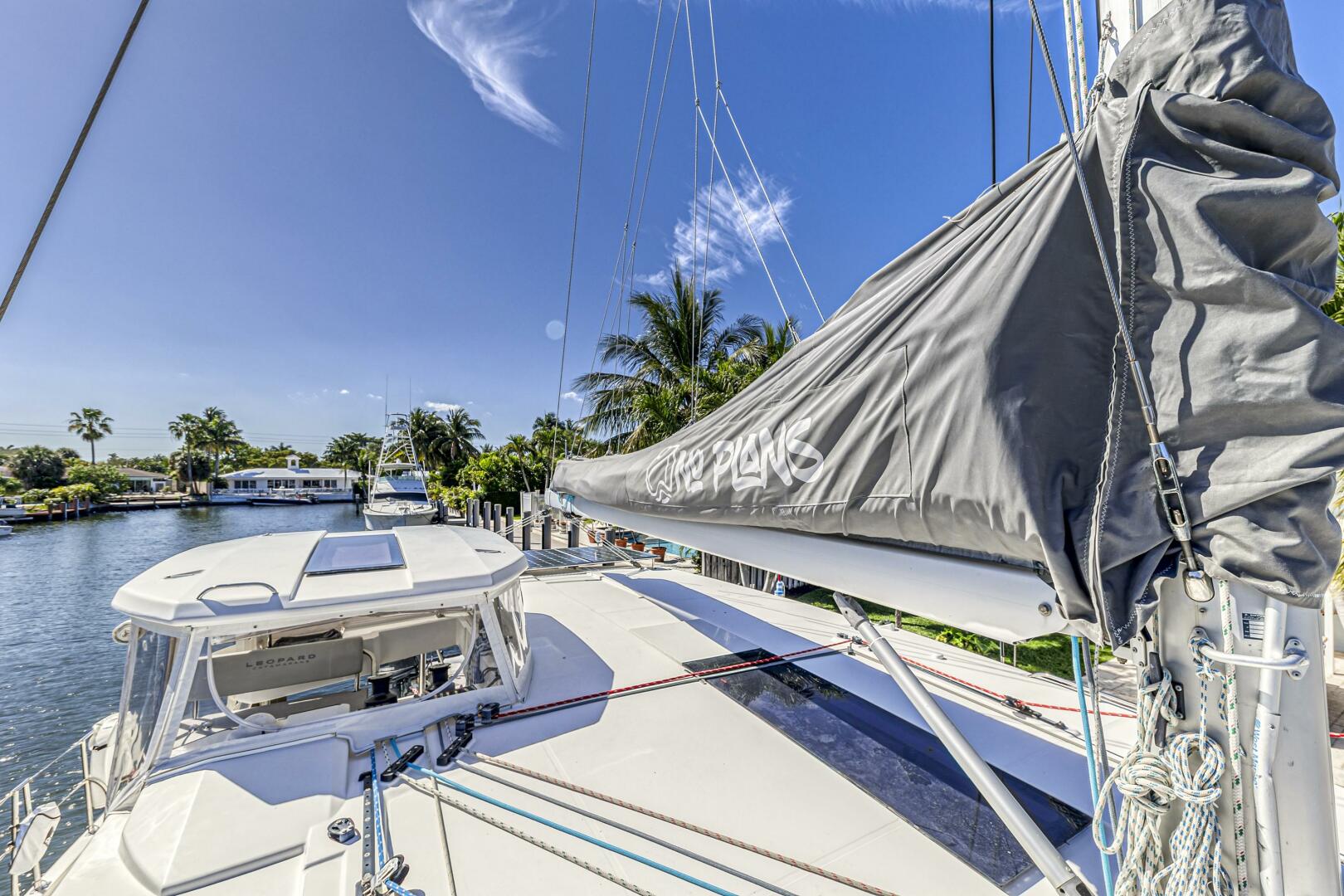 Slide: The Image of Leopard 45 2019 - 5257627