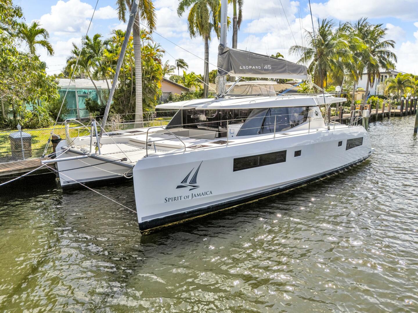 Slide: The Image of Leopard 45 2020 - 5321888