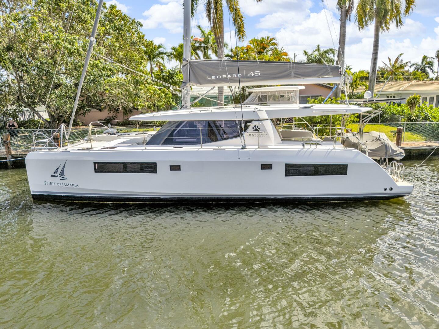 Slide: The Image of Leopard 45 2020 - 5321889