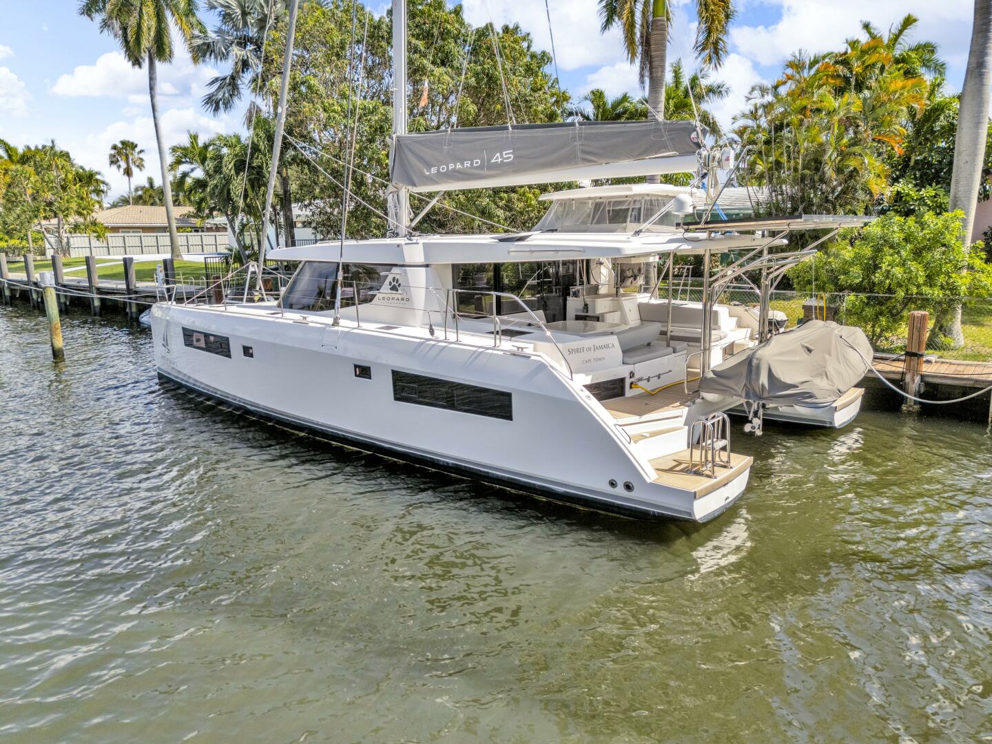 Slide: The Image of Leopard 45 2020 - 5321890