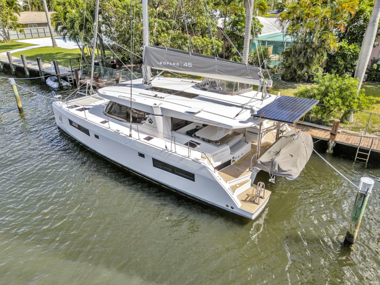 Slide: The Image of Leopard 45 2020 - 5321891