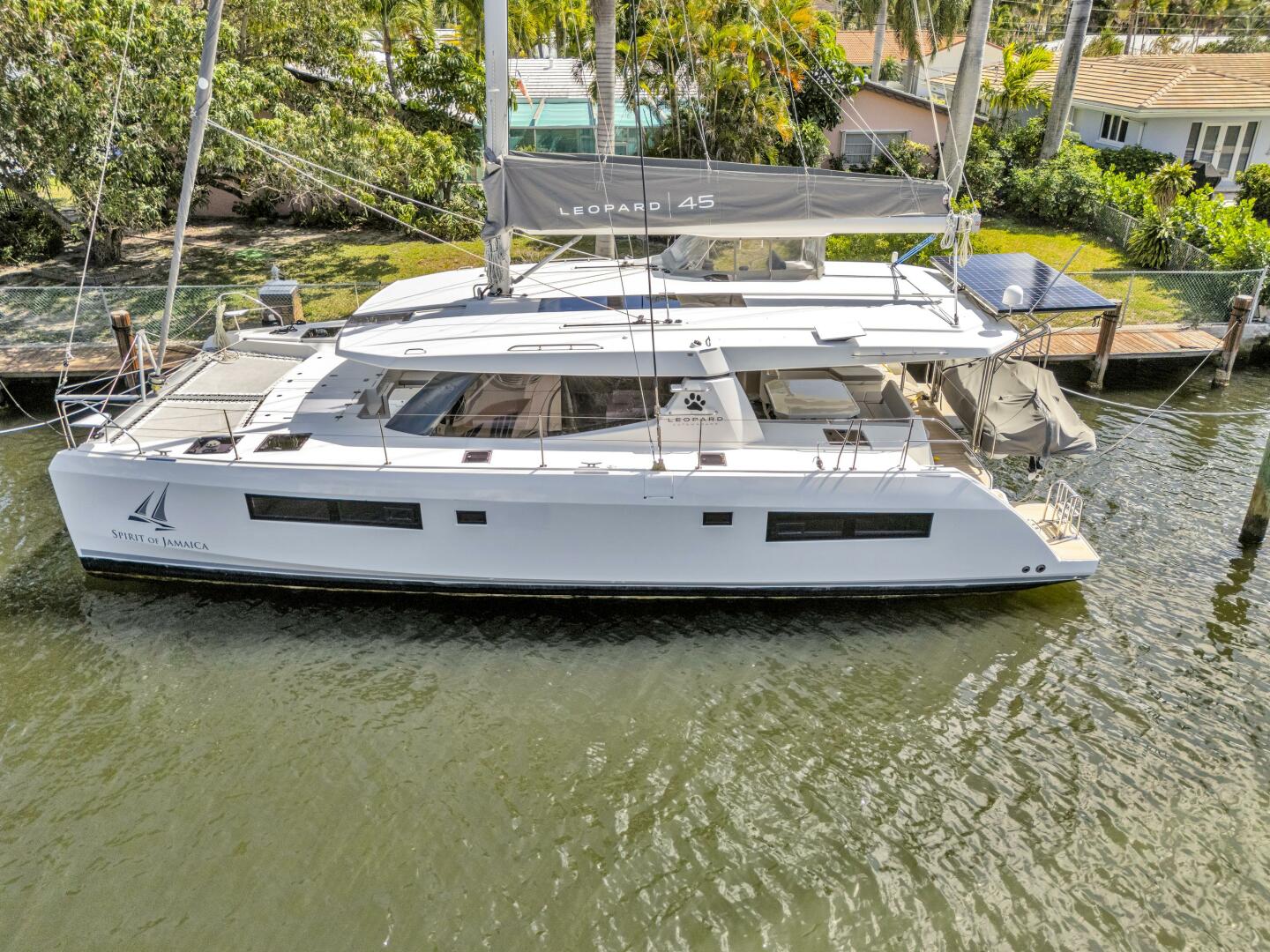 Slide: The Image of Leopard 45 2020 - 5321892