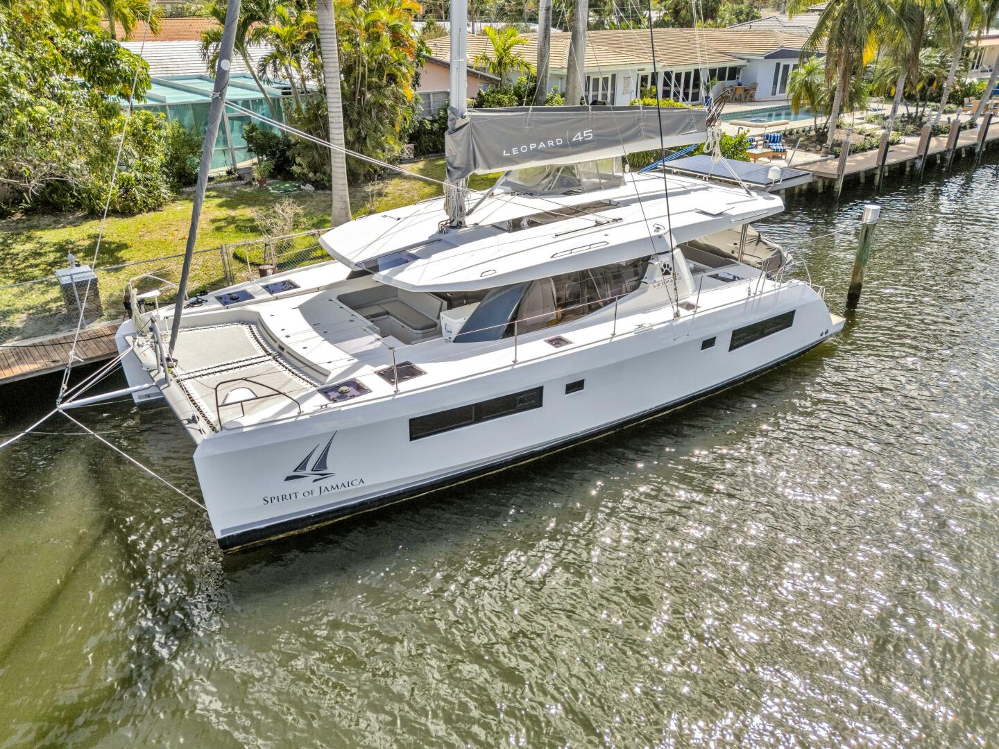 Slide: The Image of Leopard 45 2020 - 5321893