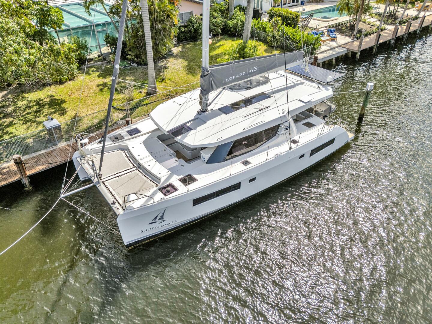 Slide: The Image of Leopard 45 2020 - 5321894