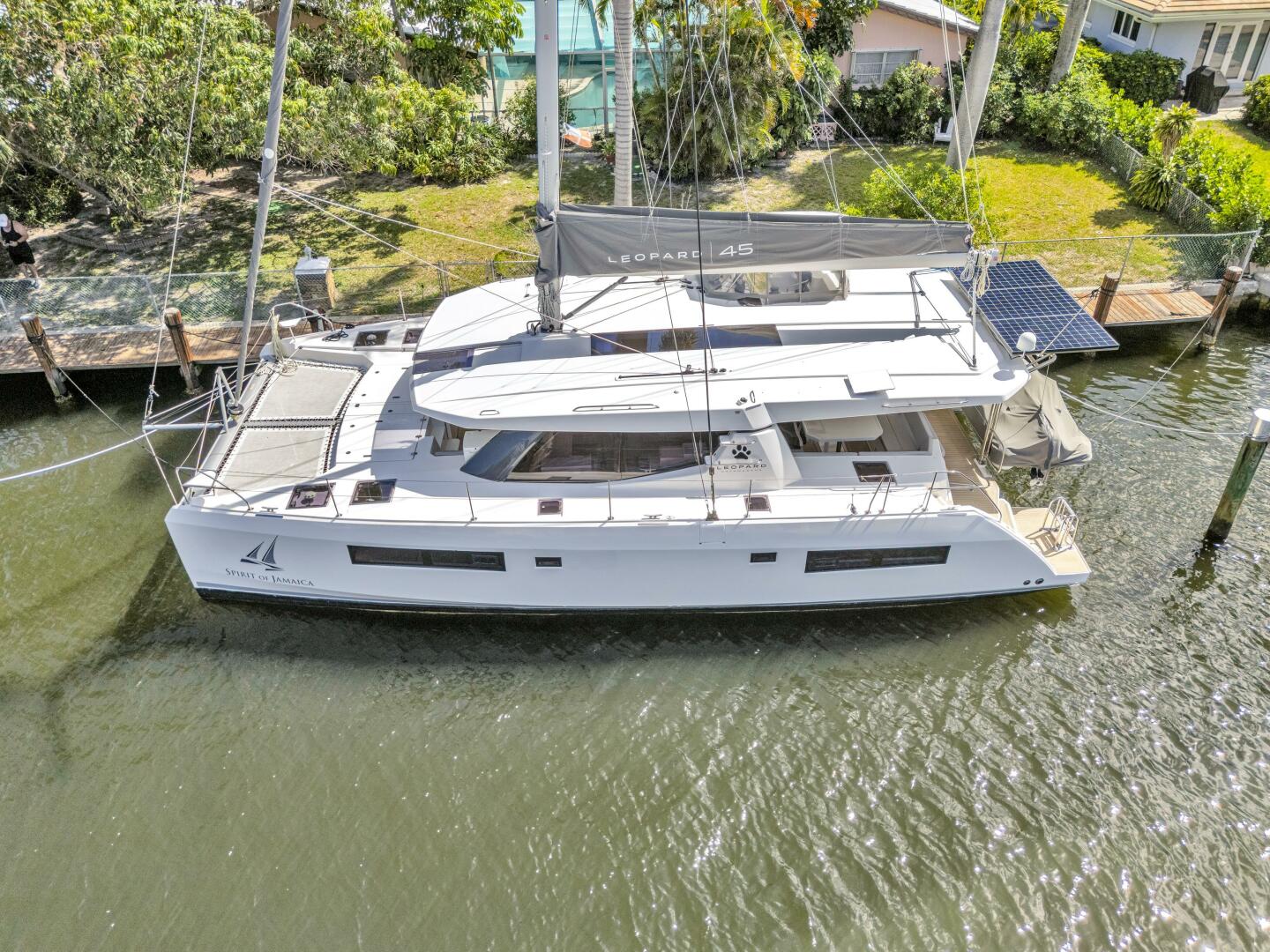 Slide: The Image of Leopard 45 2020 - 5321895