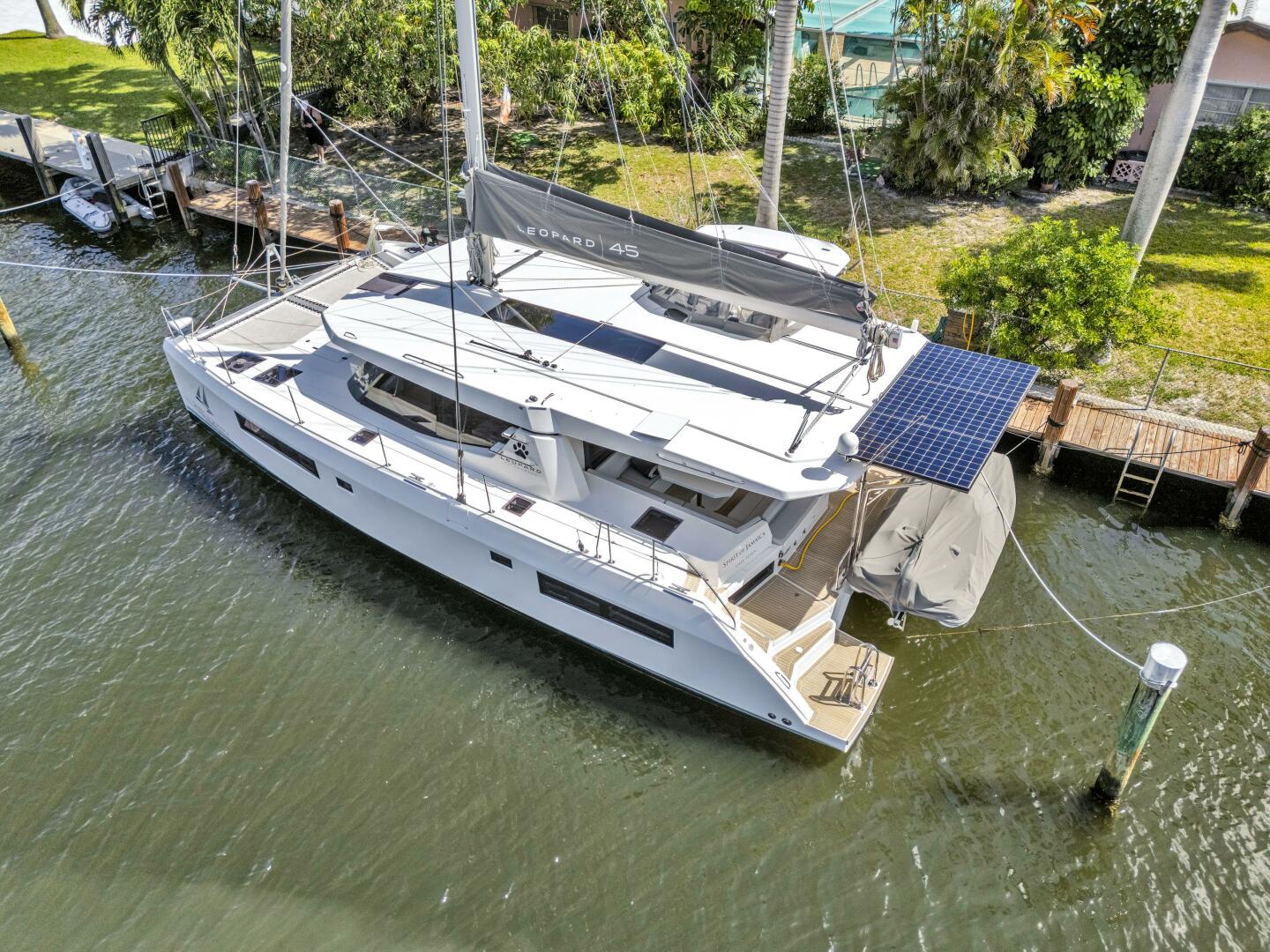 Slide: The Image of Leopard 45 2020 - 5321896