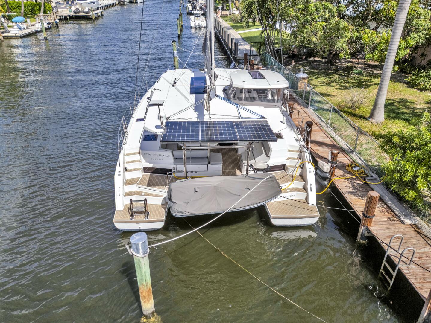 Slide: The Image of Leopard 45 2020 - 5321897