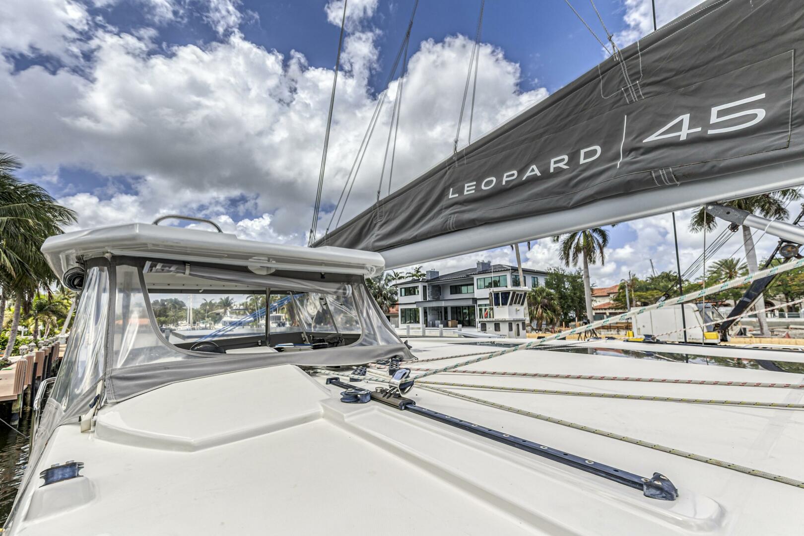 Slide: The Image of Leopard 45 2020 - 5321923