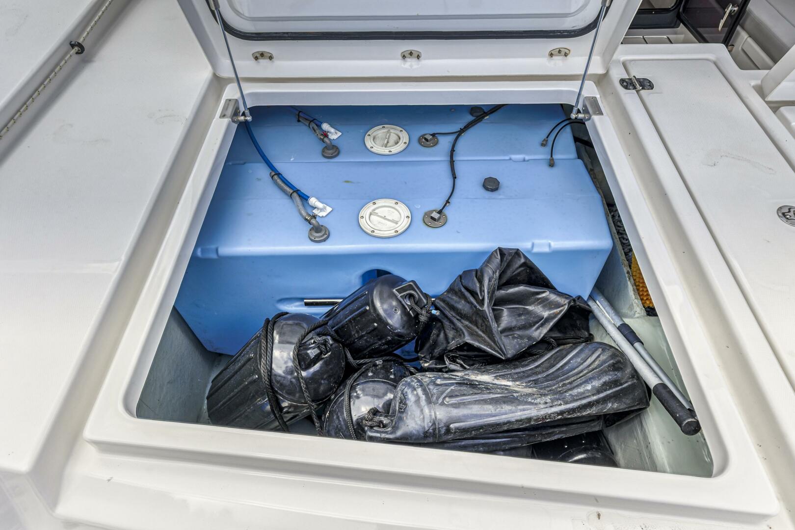 Slide: The Image of Leopard 45 2020 - 5321930