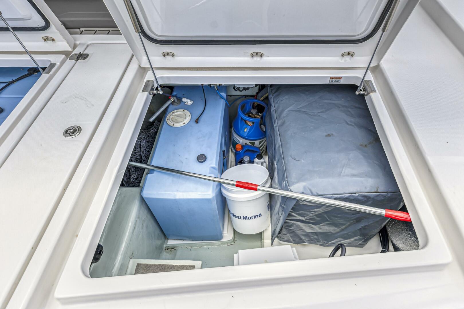 Slide: The Image of Leopard 45 2020 - 5321931