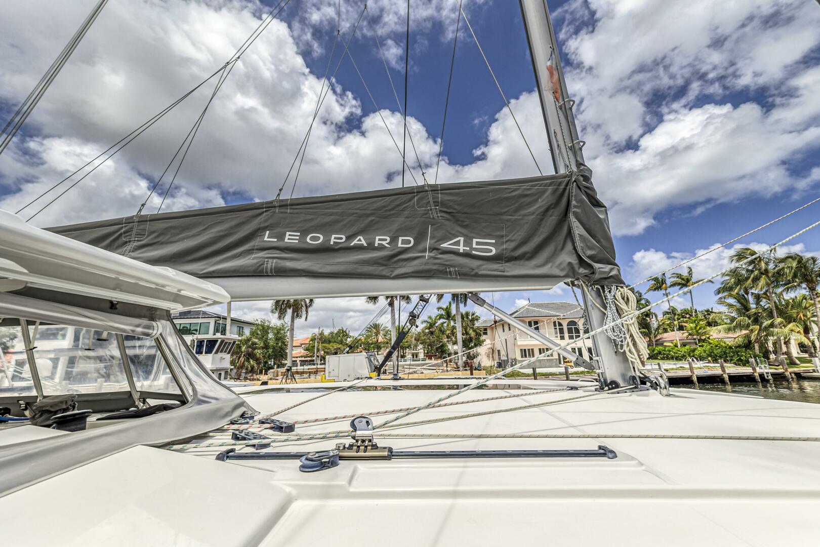 Slide: The Image of Leopard 45 2020 - 5321937