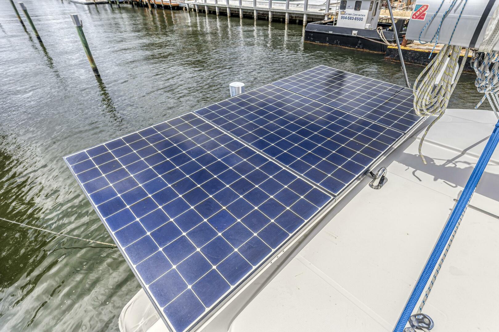 Slide: The Image of Leopard 45 2020 - 5321941