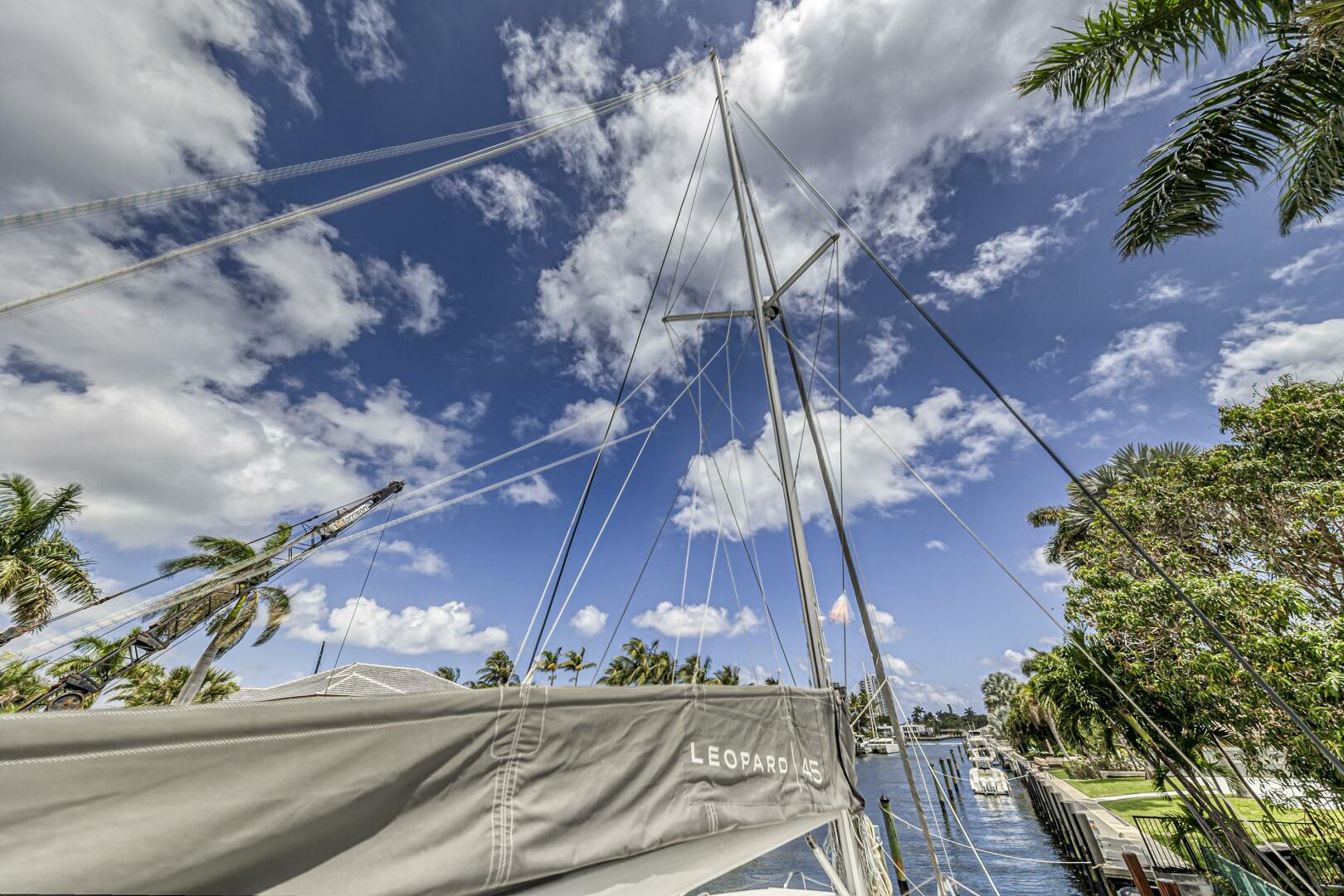 Slide: The Image of Leopard 45 2020 - 5321942