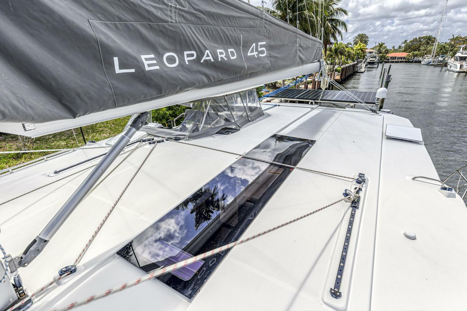 Slide: The Image of Leopard 45 2020 - 5321943