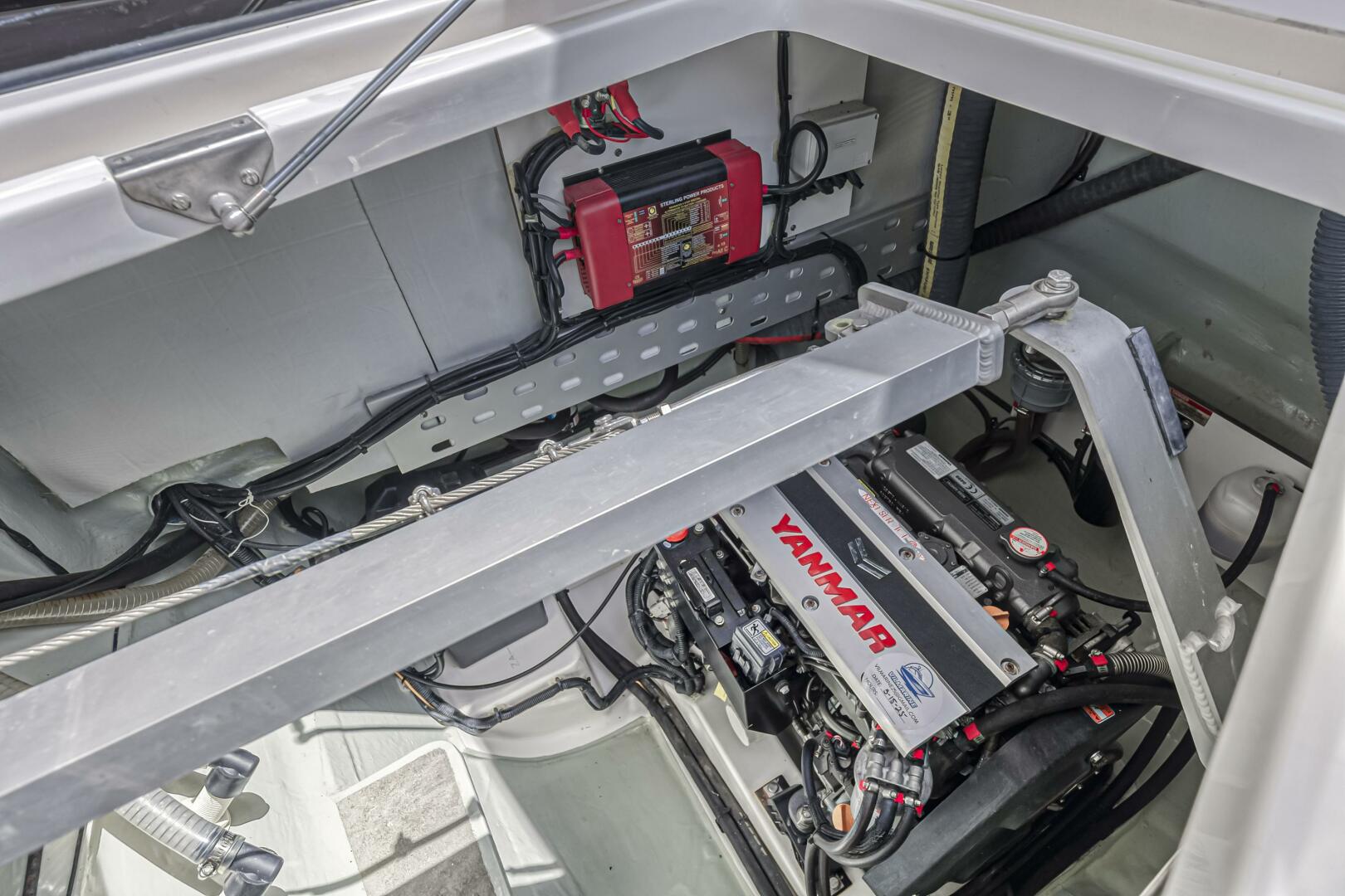 Slide: The Image of Leopard 45 2020 - 5321944