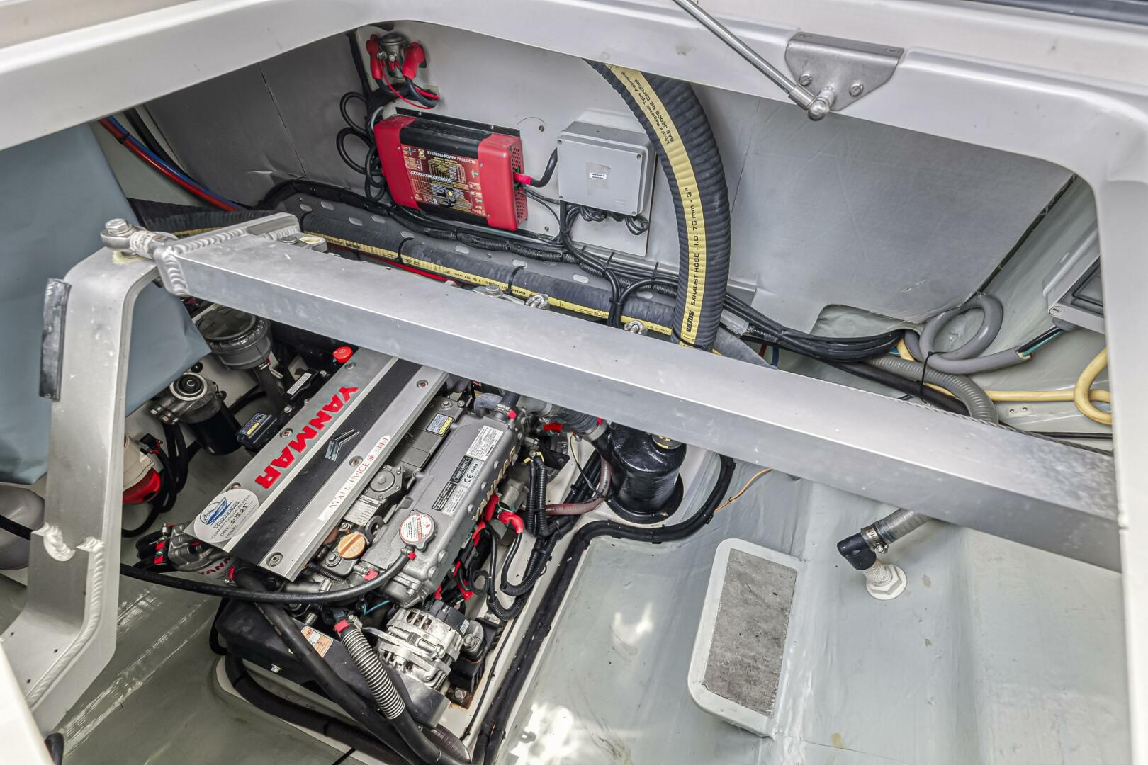 Slide: The Image of Leopard 45 2020 - 5321945