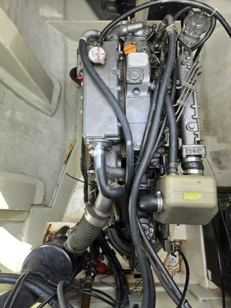 Slide: The Image of Leopard 46 2011 - 5272402