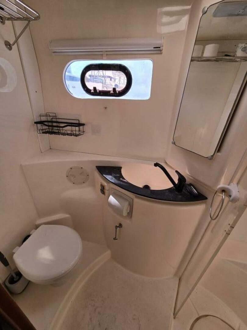 Slide: The Image of Leopard 46 2011 - 5272410