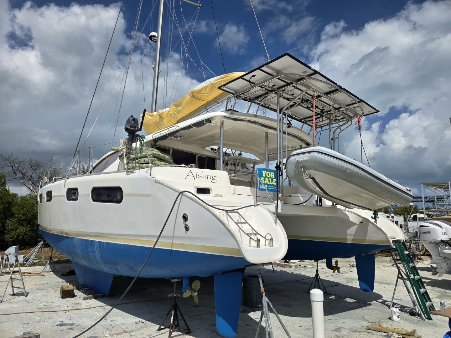 Slide: The Image of Leopard 46 2011 - 5272439