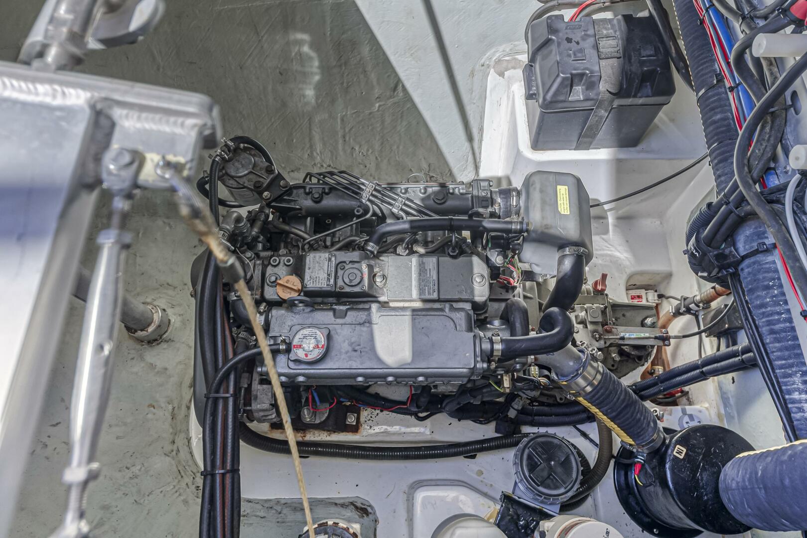 Slide: The Image of Leopard 48 2014 - 5161317