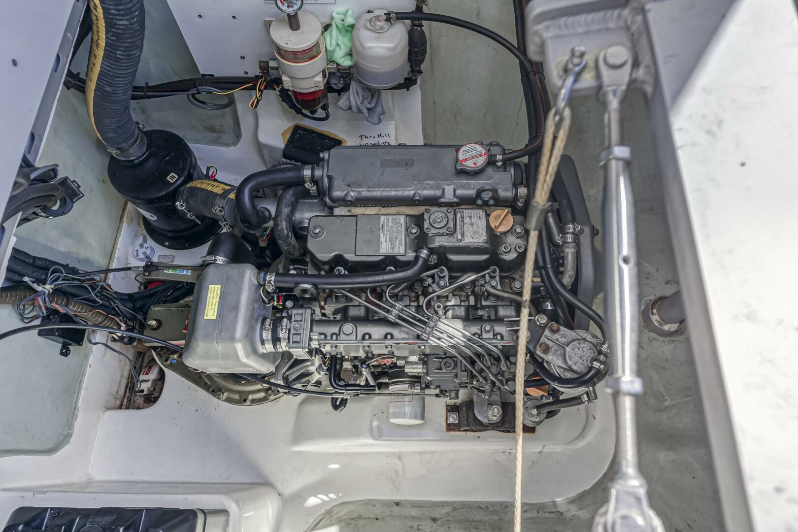 Slide: The Image of Leopard 48 2014 - 5161318