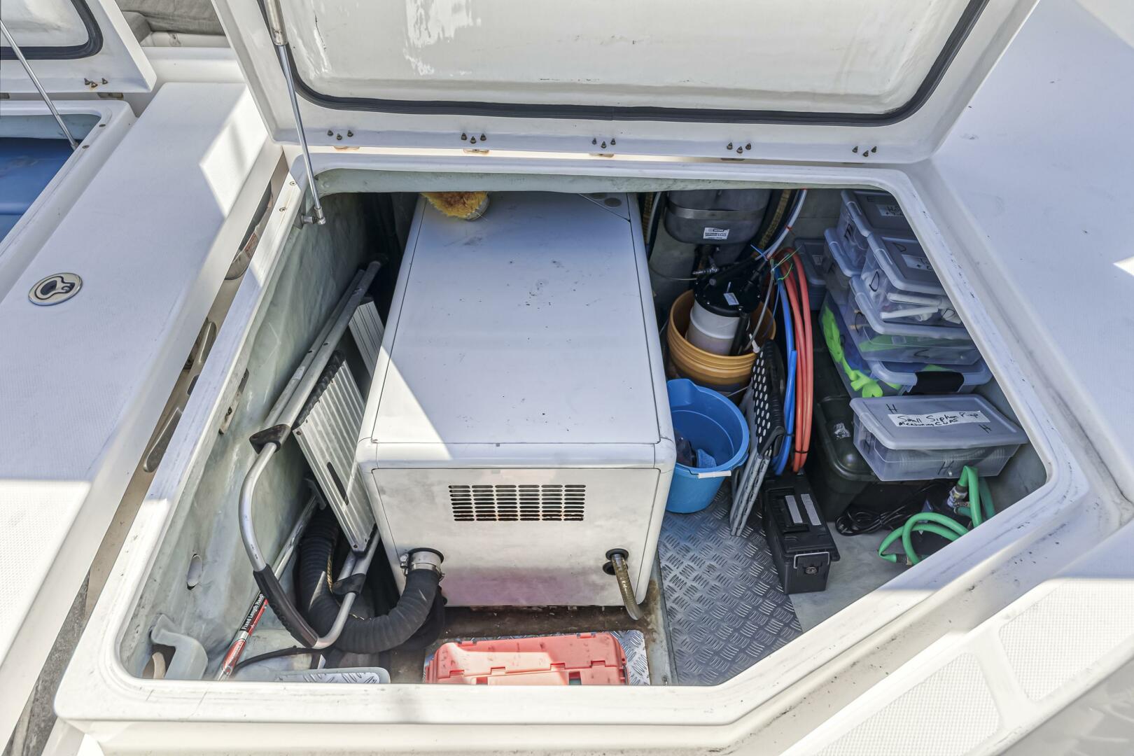 Slide: The Image of Leopard 48 2014 - 5161340